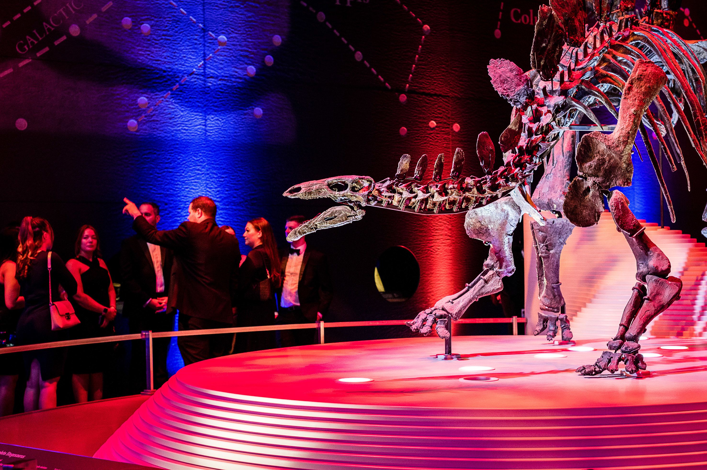 nhm dino